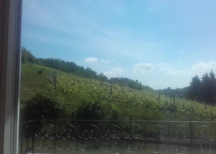Dom W Zielonej Dolinie
